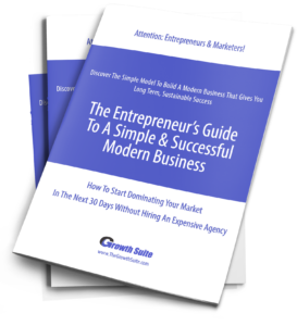 Entrepreneurs Guide To Modern Business Model stack of books