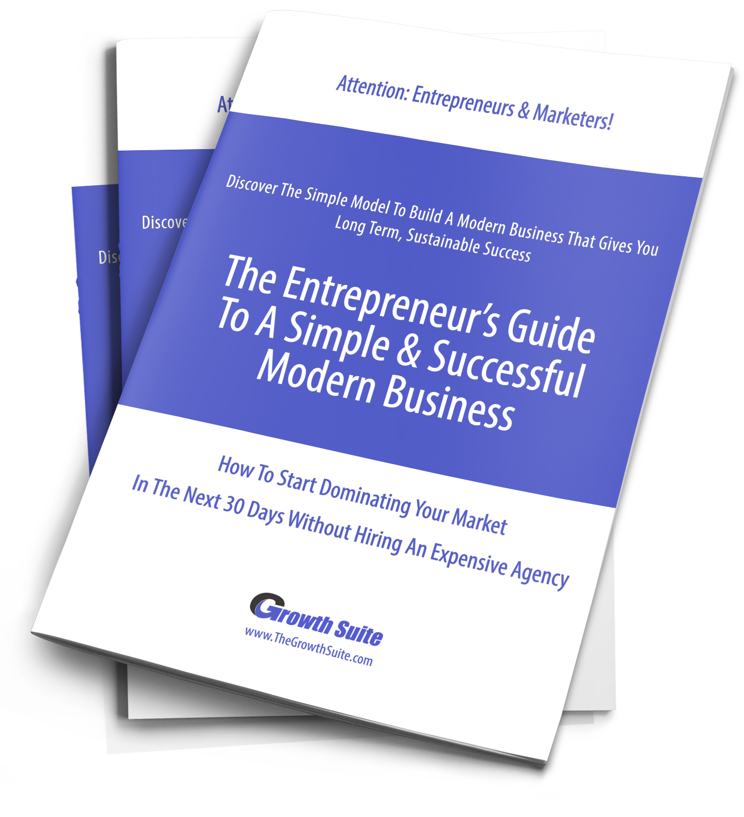 Entrepreneurs Guide To Modern Business Model stack of books